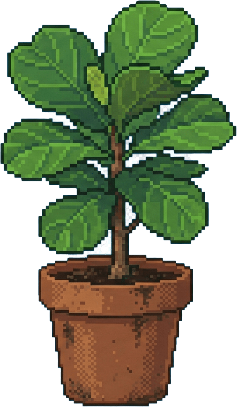House Plant
